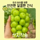 샤인2 | 재구매율1위 산지직송 리빌리지 고당도 샤인머스켓 2kg 먹은 후기