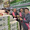 순천매실
