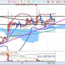 태평양 금호 이미지