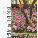 오제디자인 이미지