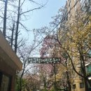 압구정-205 이미지