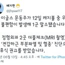 한화 문동주 가벼운 부상으로 4주간 1군 말소 이미지