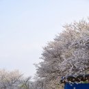 금락정(부용리) 화장실 네이버블로그