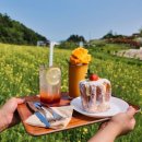 6월의 목장 이미지