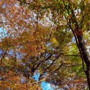 허덕교 화장실 이미지