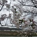 하방천변길 이미지