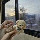 소요 별앤숲 테마파크 카라반A / 상상공작소 솔직 후기(리뷰)