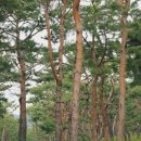 금강종합동물병원 이미지