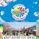 오페라큐브 | 2026년 청주 무심천 벚꽃축제 주차정보 맛집 추천