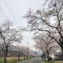 부곡온천중앙로 이미지