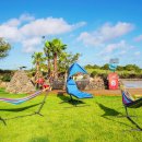 빈티지1950 이미지