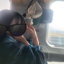 (주)콜로리 | 연차(4), 끝! 21시간 걸린 외노자의 DOH 복귀