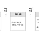 개헌절차 개헌 당시 대통령에게는 적용되지 않는다 2016-10-27 이미지