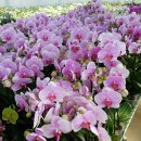 재기농장 이미지