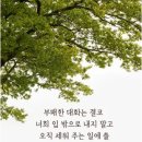 성도 이미지