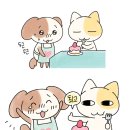 Cider