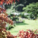 수목원펜션 이미지