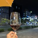 평촌 와인샵 원더보틀 깔끔한 가성비 레드와인 추천