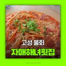 고성 물회 자매해녀횟집 가진항 물회