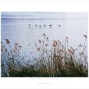 한강 산책 이미지