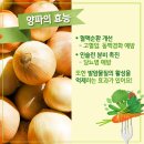 양파상회 이미지