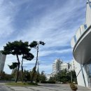 예술의전당 베이프레소 이미지