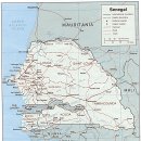 세네갈 국기 지도 이미지