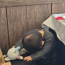 칠성본가 | 260301 아, 눈물이 날 거 같아요 분해서, 슬퍼서, 기뻐서요