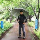 낙동강변로5-5 이미지