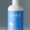 밸런스 바디디자인 이미지