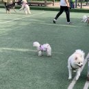 까치산근린공원 이미지