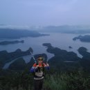 게으른 악어 이미지