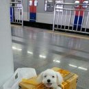 나도 이미지