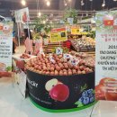 단양죽령사과 이미지