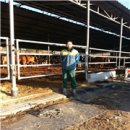 농고목장 이미지