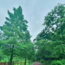 거북산 등산로 입구 이미지