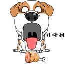 원덴탈 이미지