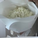 벚꽃실비 네이버블로그
