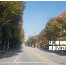 완산-165 이미지
