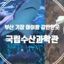 국립과학관 초입 이미지