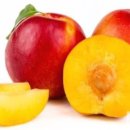 애프리코트(APRICOT) 이미지