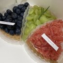 파이달램 이미지