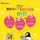 펭귄세탁 이미지