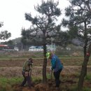 여주-0962 이미지