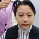 새로이숲