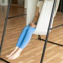 플라잉독 | 홈 플라잉요가 스탠드 후기, 천장 설치 부담 없이 집에서 시작한 가정용 해먹걸이