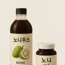 태평양식품 | 🌿 노니 vs 마카, 내 몸에 더 맞는 건강식품은?