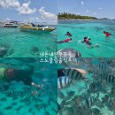 11260-3-64-20 | 내돈내산푸꾸옥스노클링) 푸꾸옥고스트"보물섬호핑투어" 솔직후기