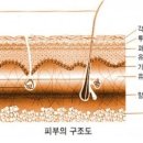 조앤아카데미학원