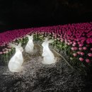 정평천 뉴스피크